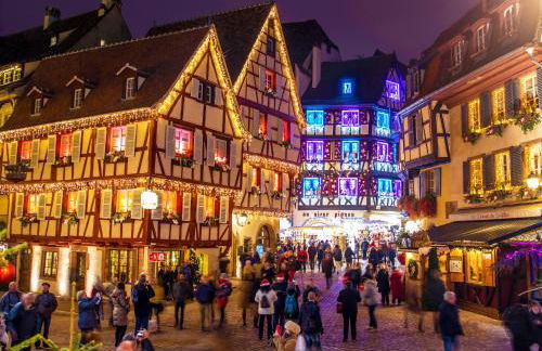 Appartement Orchidées proche centre Ville - Foto 19