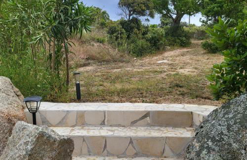 Bergerie U Caseddu - Foto 10