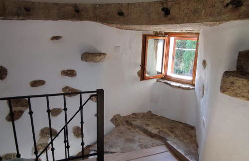 Meu Moinho - Foto 12