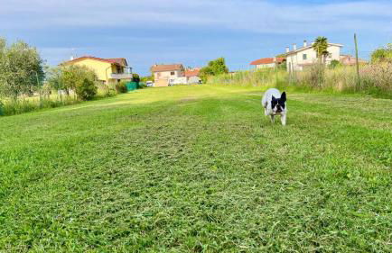 Casa sul fiume - Foto 18
