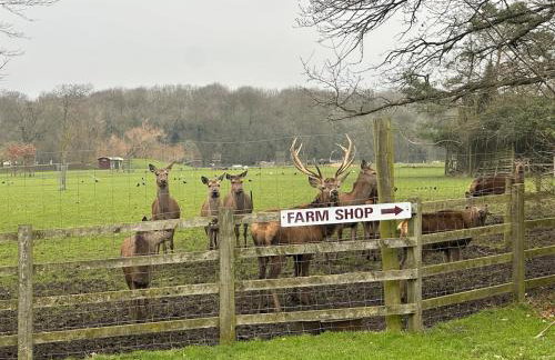 Sleeps18 character barns - Foto 47