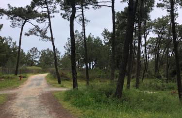 maison de pêcheur face à la plage du plan d'eau - Foto 15