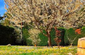 Casa el Cerezo Rojo - Foto 34