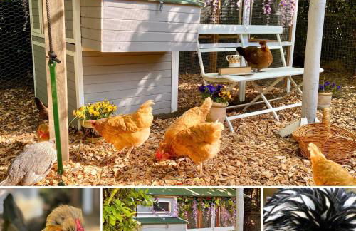 Old Hall Country Breaks - Foto 24