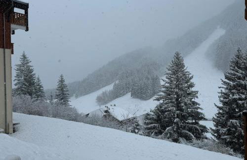 2-bed appt 20 mins from Morzine Portes du Soleil French Alps - Foto 44