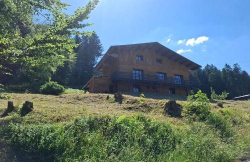 Chalet Le Belvédère, vue exceptionnelle dans les Hautes Vosges - Foto 2