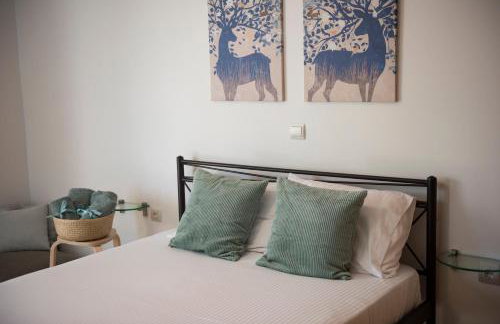 Studio Kalogridis - Foto 19