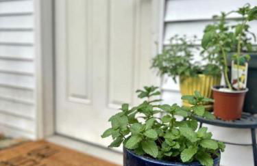 Embrace Nature in this Breathtaking Cottage in Portage Lake, Maine - Foto 31