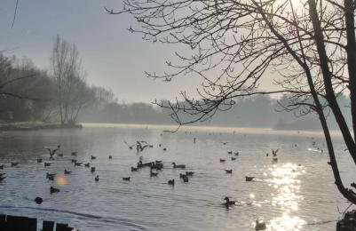 Cosy & Chic in great location near Loughborough Uni & East Midlands Airport - Foto 10