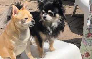 Lincoln Holiday Retreat Lodge with Private Hot Tub - Foto 43