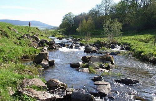 Gîte Nature au Chambon-sur-Lignon: Terrasse, Wifi, Proche Activités et Commerces - FR-1-582-137 - Foto 10