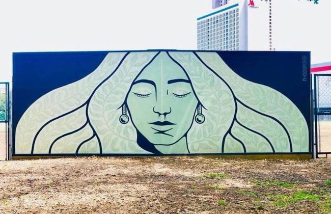 Wonderful 3 BR 2 BA Near Downtown - Foto 27