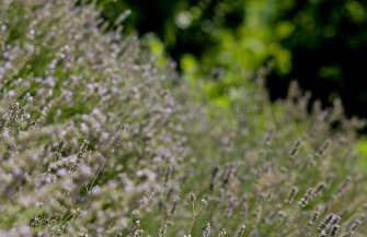 Kuća za odmor Olympus - Foto 62