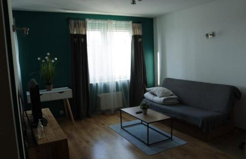 Apartament Swarzędz - Foto 7