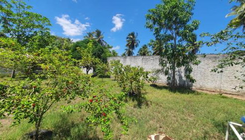 Casa de Campo São Lázaro - Foto 2