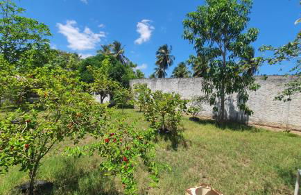 Casa de Campo São Lázaro - Foto 2