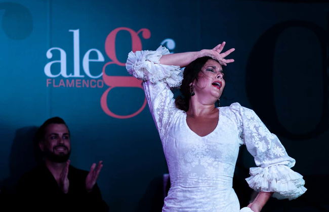 Espetáculo de flamenco no Alegría - Foto 8