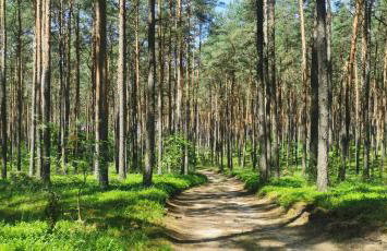 Lustro Wody - Foto 39