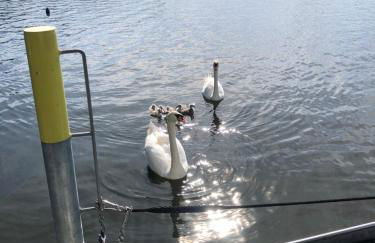 Basalt Lodge am Lehnitzsee - Foto 32