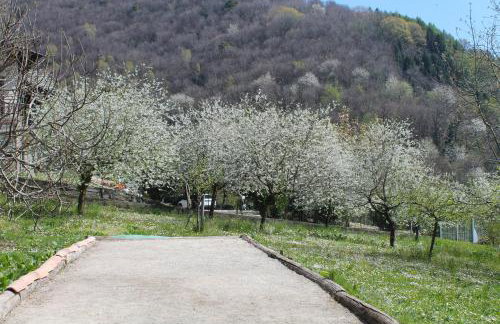 La Corte dei Rho - Photo 28