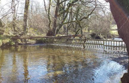 Pwllgwilym B & B - Foto 65