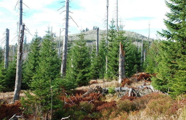 Attractive Apartment in Haidmuhle - Foto 15