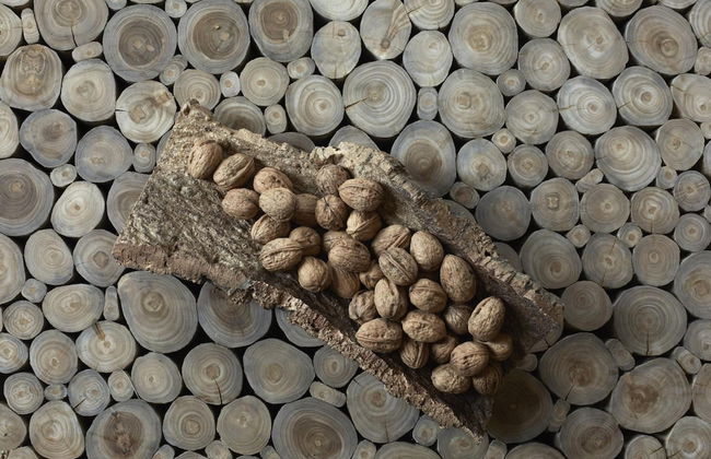 Mas Vivent - Photo 53