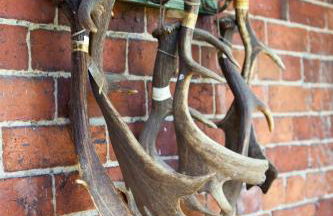 Lower Buckton Country House - Sleeps 12 - Foto 65