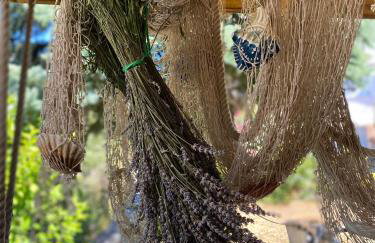 app OLIVER MALINSKA - Foto 42