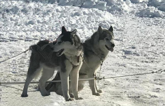 Villa Mtashi - Foto 28