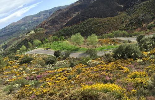 Alojamiento en entorno rural Los Trobos - Foto 33