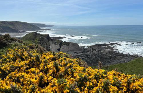 stayinhartland Quincecote shepherds hut - Foto 17