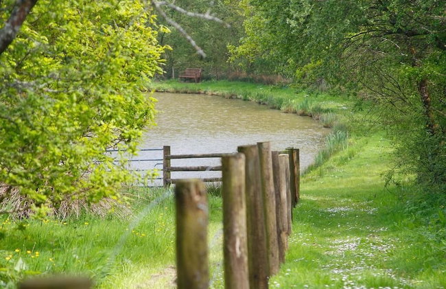 Leworthy Farmhouse - Photo 37