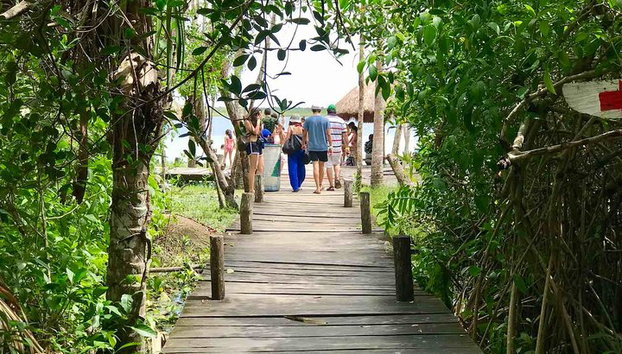 Explora la Selva Maya en Tulum. 2 Cenotes, laguna Kaan Luum - Foto 5, La naturaleza abunda en esta laguna.