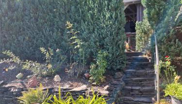 Haus der Weinkönigin Kristina - Foto 4