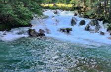 Ursus Chalet - Foto 29