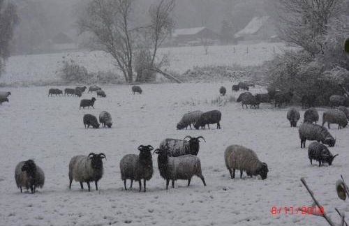 Ferienwohnung Huus ton witten Barg - Foto 15