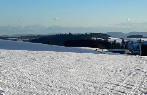 Appartement Bergwaerts - Foto 39