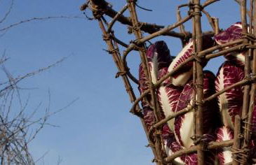 GrappaLand - Foto 51