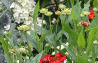 Ferienwohnung Bei der Töpferei - Photo 23