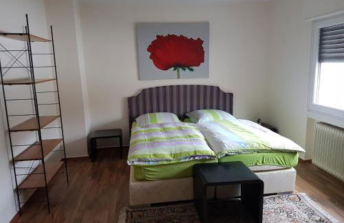 modern-comfort-inn 1 - Foto 5