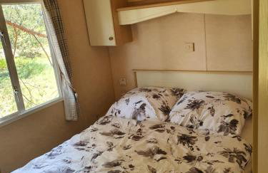 Holenderki na Zielonych Wzgórzach, Łowyń - Foto 32