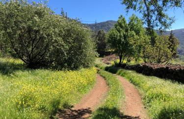 Casa-Finca El Maipéz de Tejeda - Foto 25