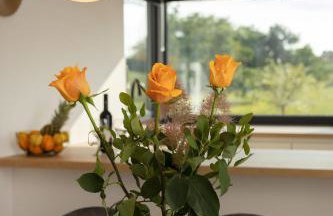 Mondo Sole - Foto 11