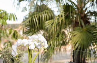 Exclusive Villa City, Beach & Golf - Photo 69