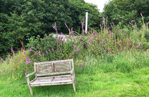 FoxesDen, Unique Eco Cabin, Dartmoor views - Foto 17
