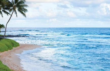 Kauai's 3bedroom 3bath Hawaiian Dream Condo - Foto 64