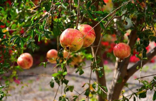 Relax in this Canary Islands Apartment with Breathtaking Mountain Views - Foto 24