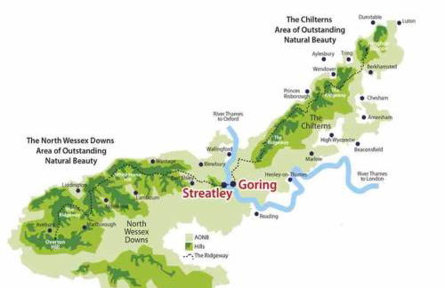 Linden Suite - Foto 18