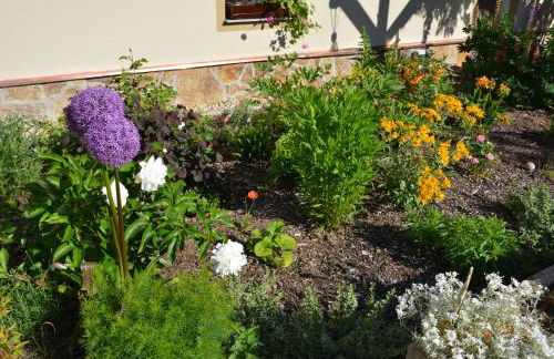 Ferienappartements "Landromantik" - Foto 50